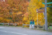 Du lịch Việt NZ - Trải nghiệm New Zealand trọn vẹn nhất - 12
