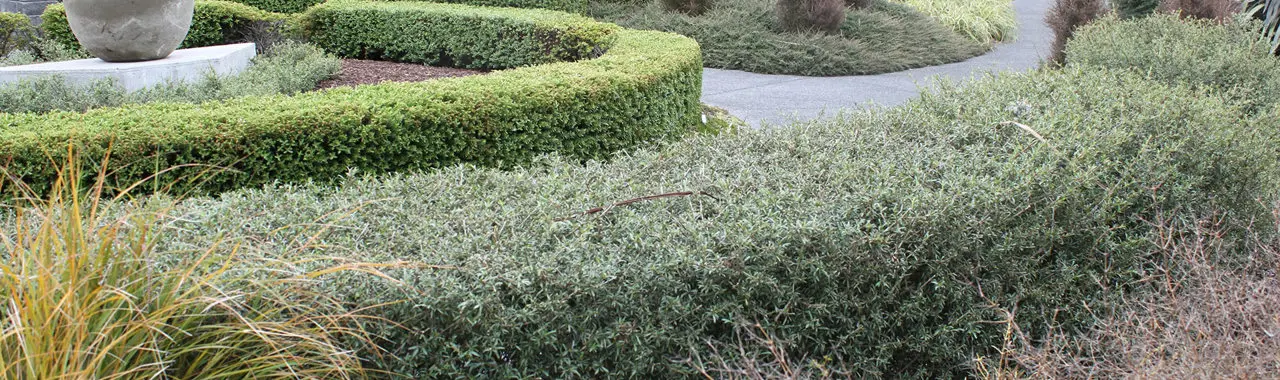 Auckland Botanic Gardens