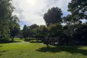 Kuirau Park - Thiên Đường Địa Chất Miễn Phí Với Bể Ngâm Chân Nước Nóng - 8