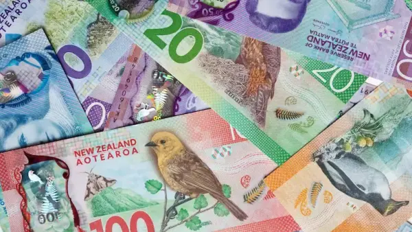 Tỷ giá NZD lao dốc 2026: Cơ hội cho xuất khẩu hay rủi ro nhập khẩu?