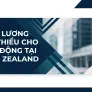 Mức lương tối thiểu dành cho người Việt khi lao động tại New Zealand